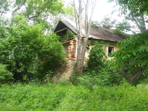 Foto 43